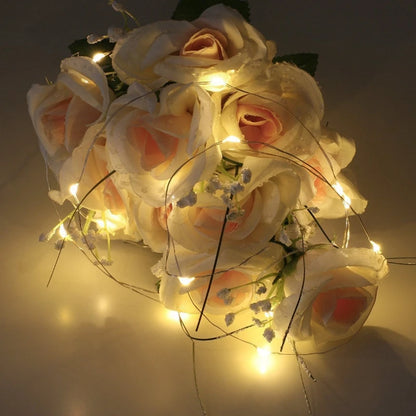 Led Fairy Lights Battery Operated